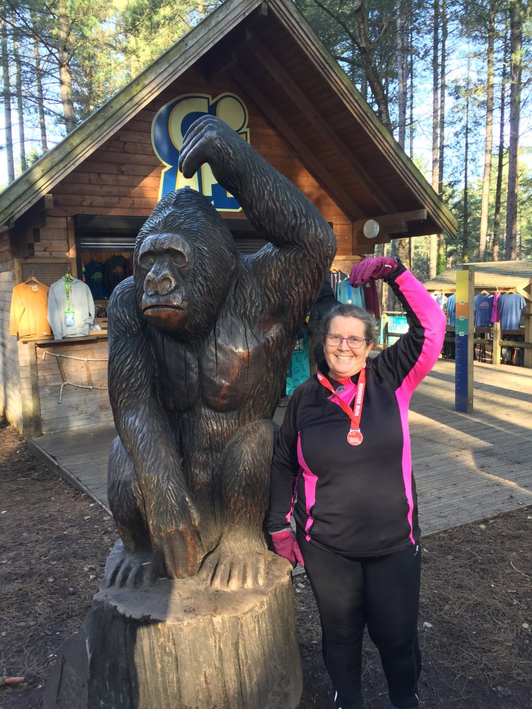 Go Ape Moors Valley Country Park