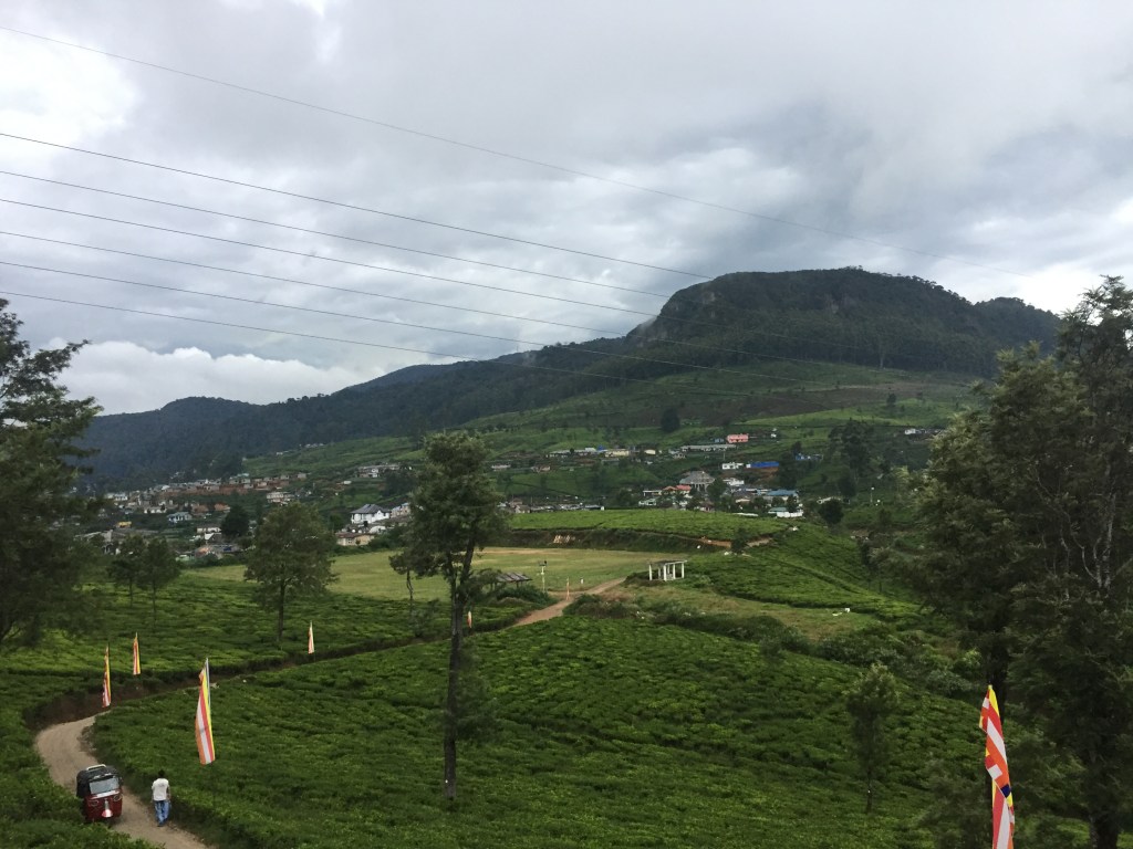 View from Tea Leaf Holiday Inn