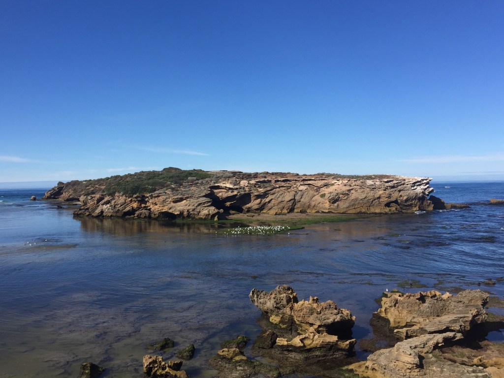 Stingray Bay Warrnambool