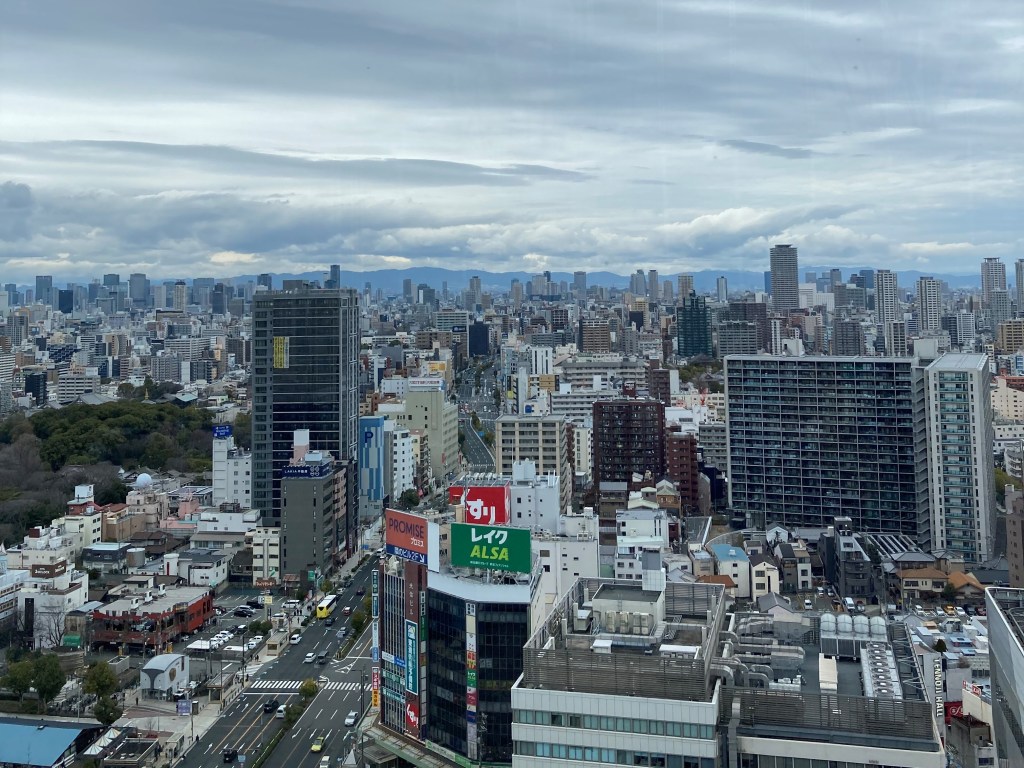 View from Abeno Harukas