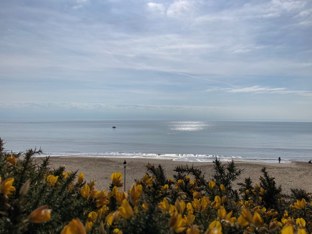 Manor Steps Beach from the cliff top
