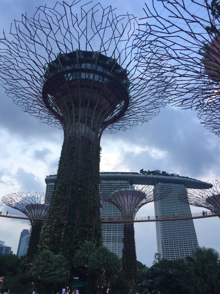 Supertree Grove