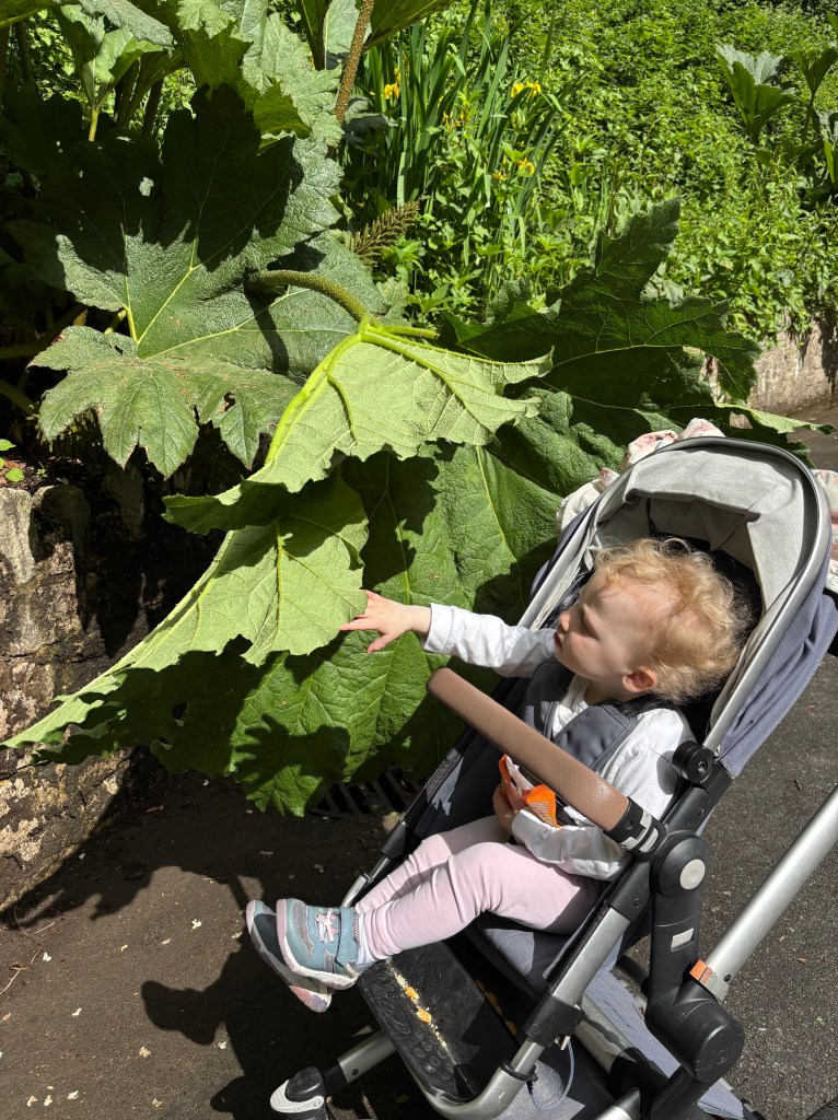 Boscombe Chine Gardens Central Path