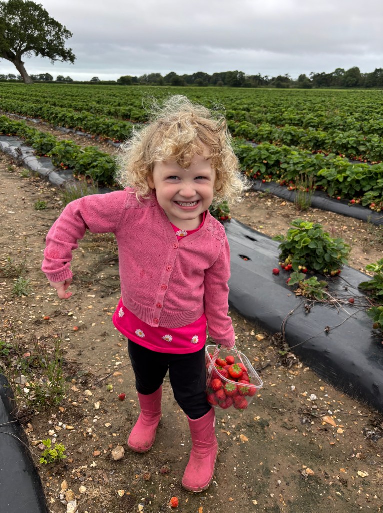 Sopley Farm Strawberry Picking