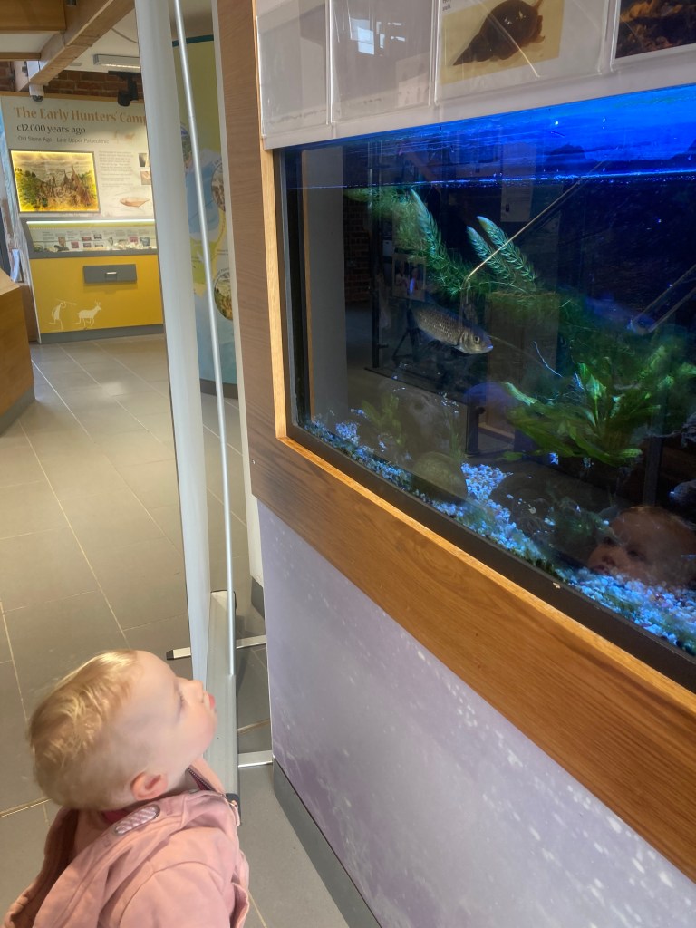 Hengistbury Head Visitor Centre