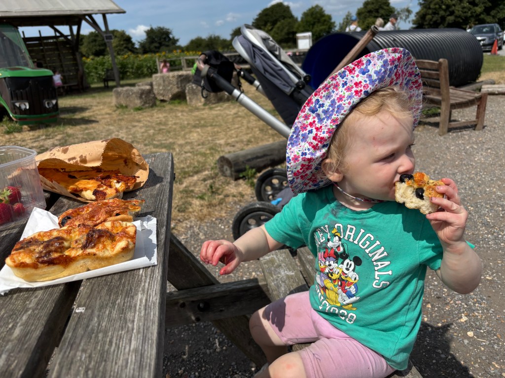 Sopley Farm Picnic