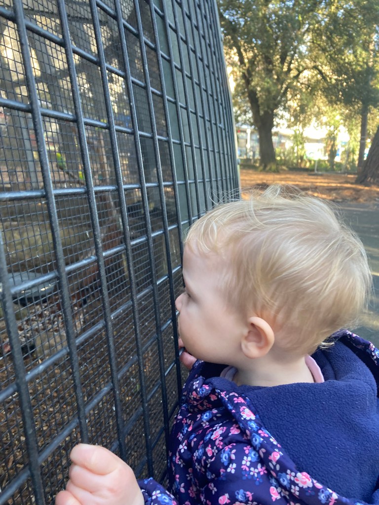 Bournemouth Gardens Aviary