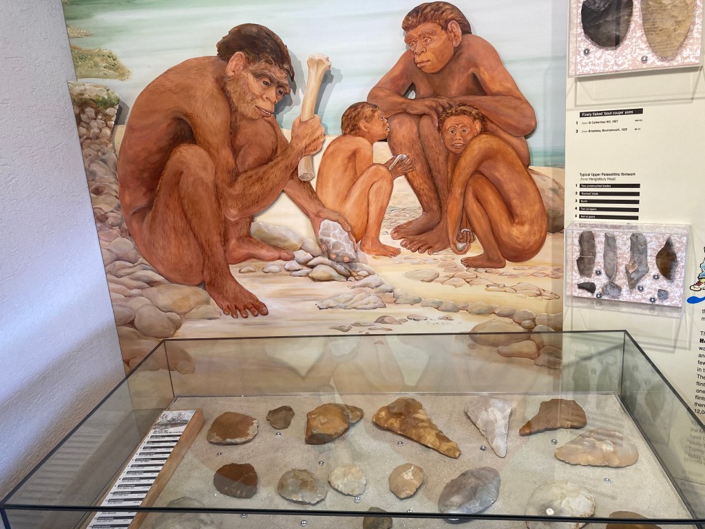 Red House Museum Archaeological Collection