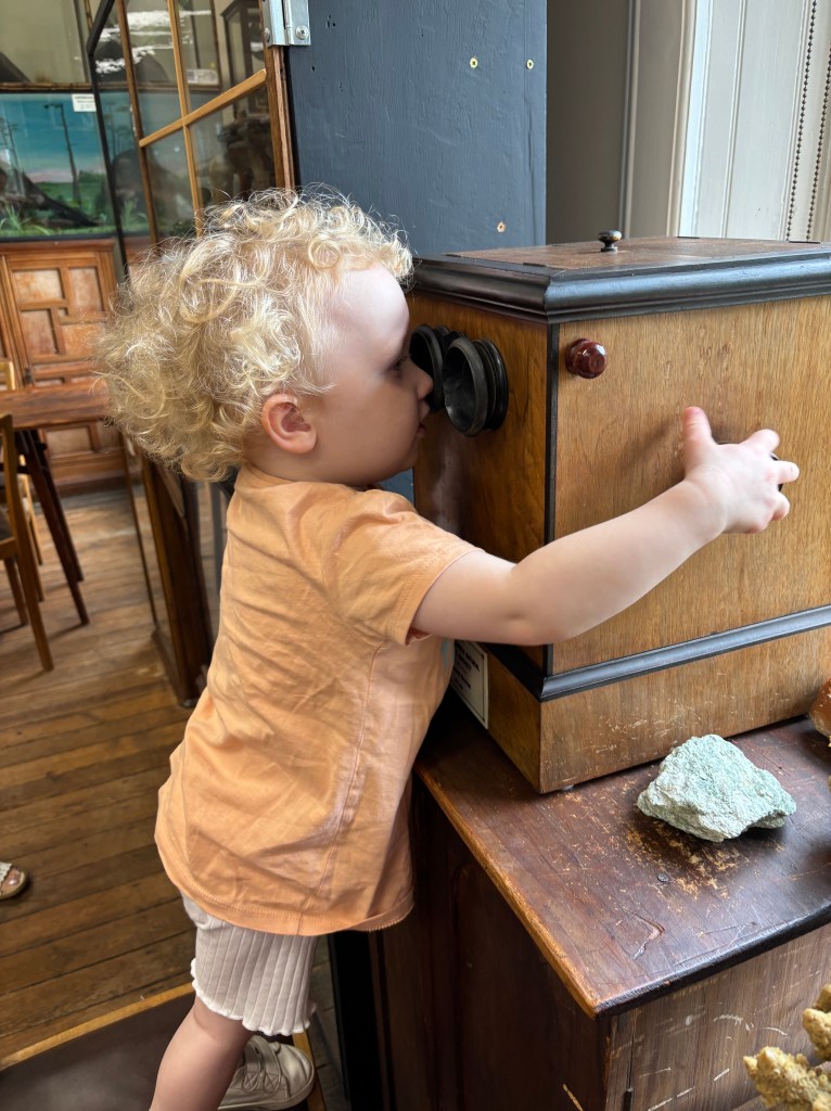 Bournemouth Natural Science Museum