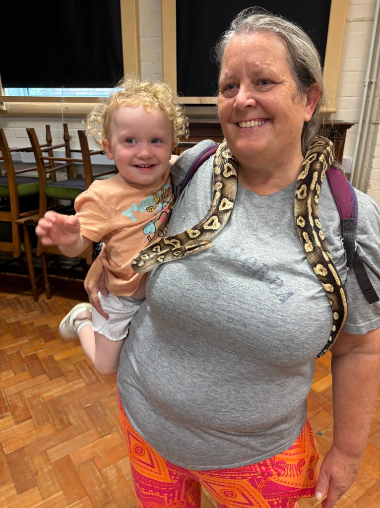 Snake handling at Bournemouth Natural Science Museum