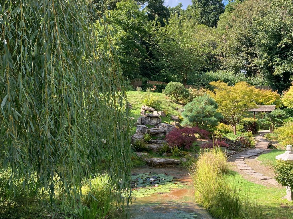 Kingston Lacy Japanese Garden