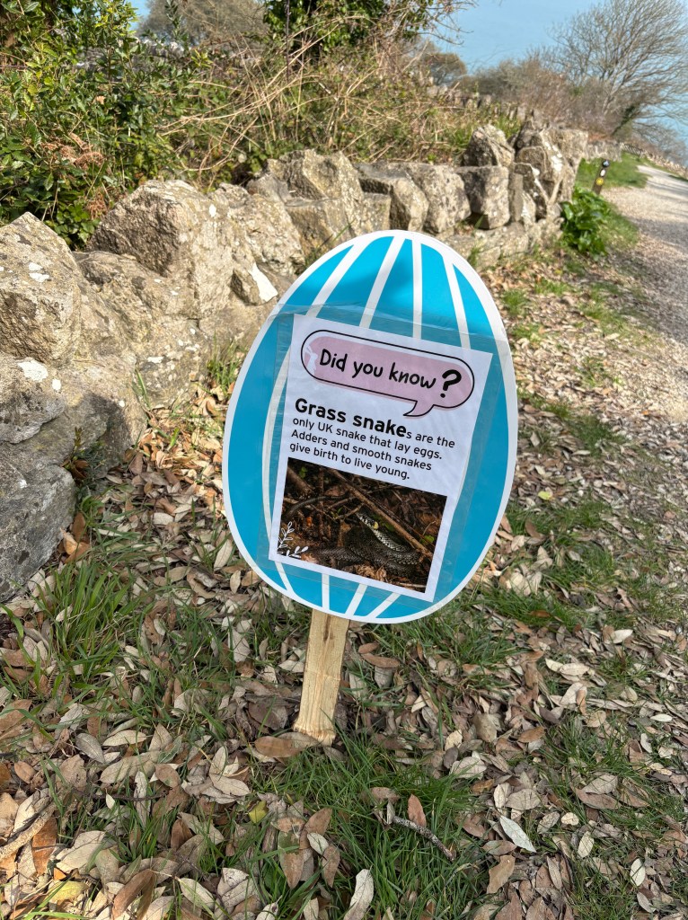 Easter Trail Durlston Country Park