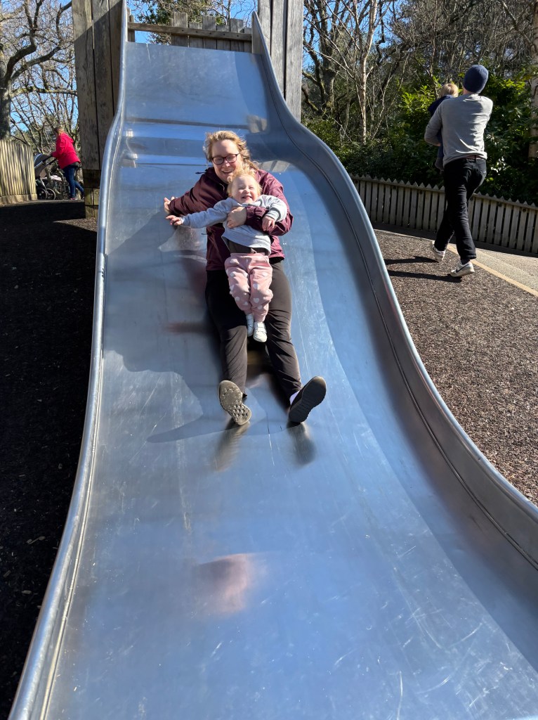 Moors Valley Play Area