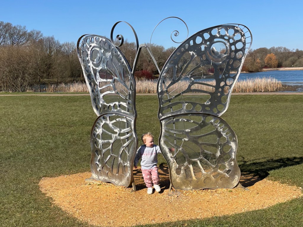 Moors Valley Country Park