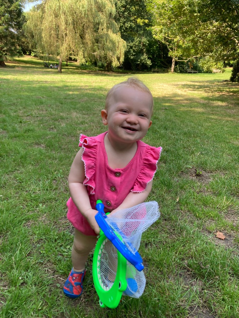 Upton Country Park Lawns