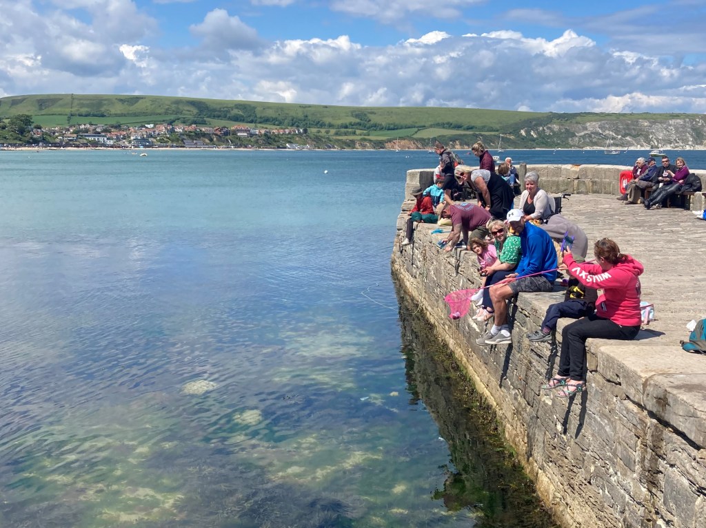 Crabbing on Swanage Quay