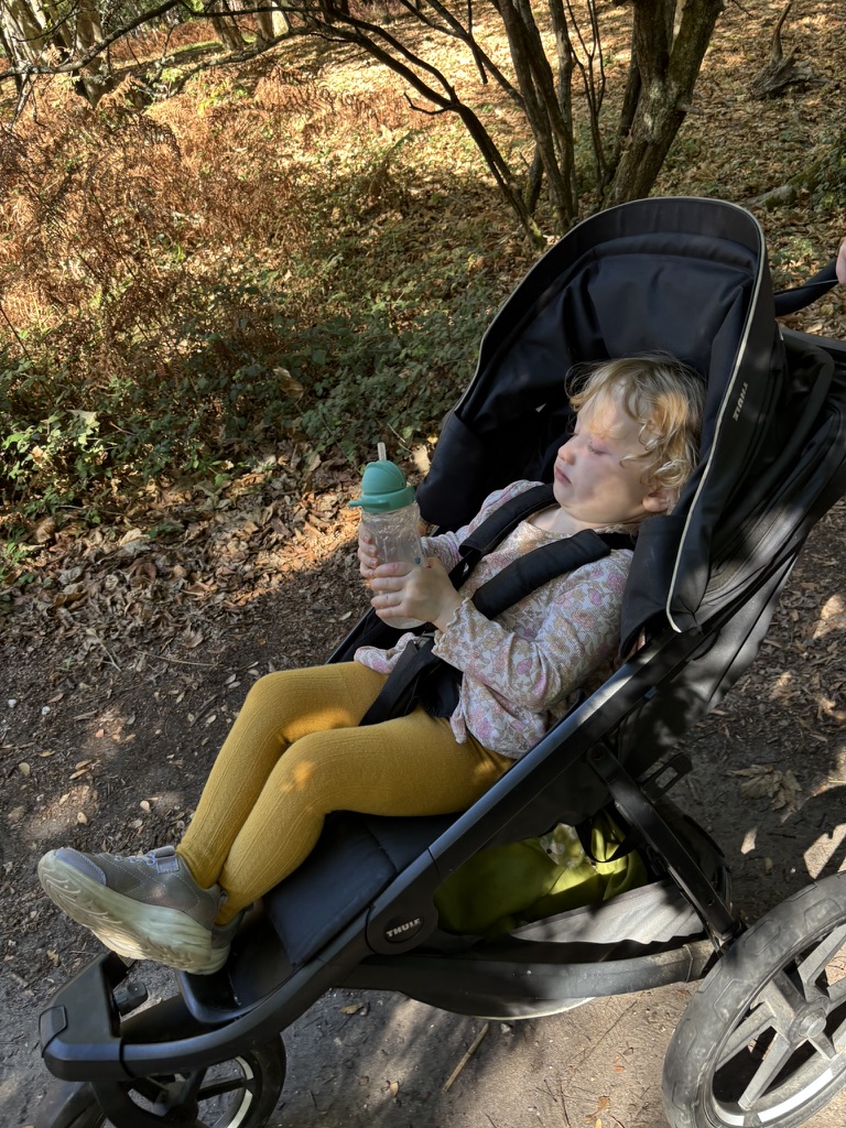All-Terrain Pushchair - Brownsea Island