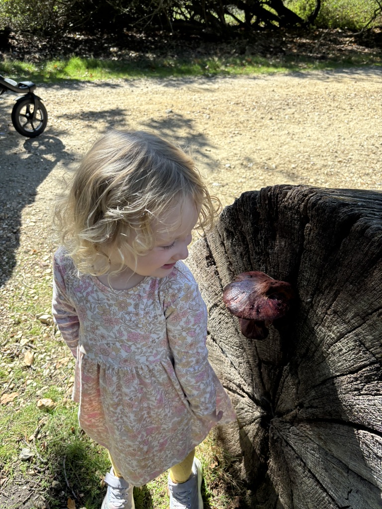 Brownsea Island Nature Trail