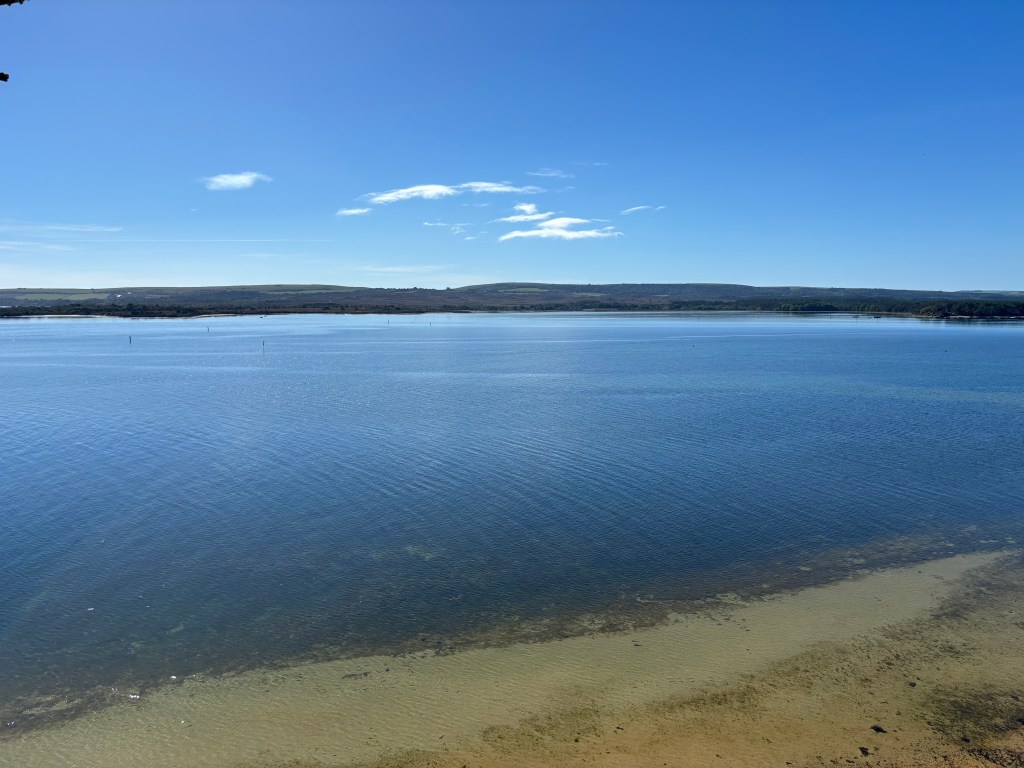 Brownsea Island Beach