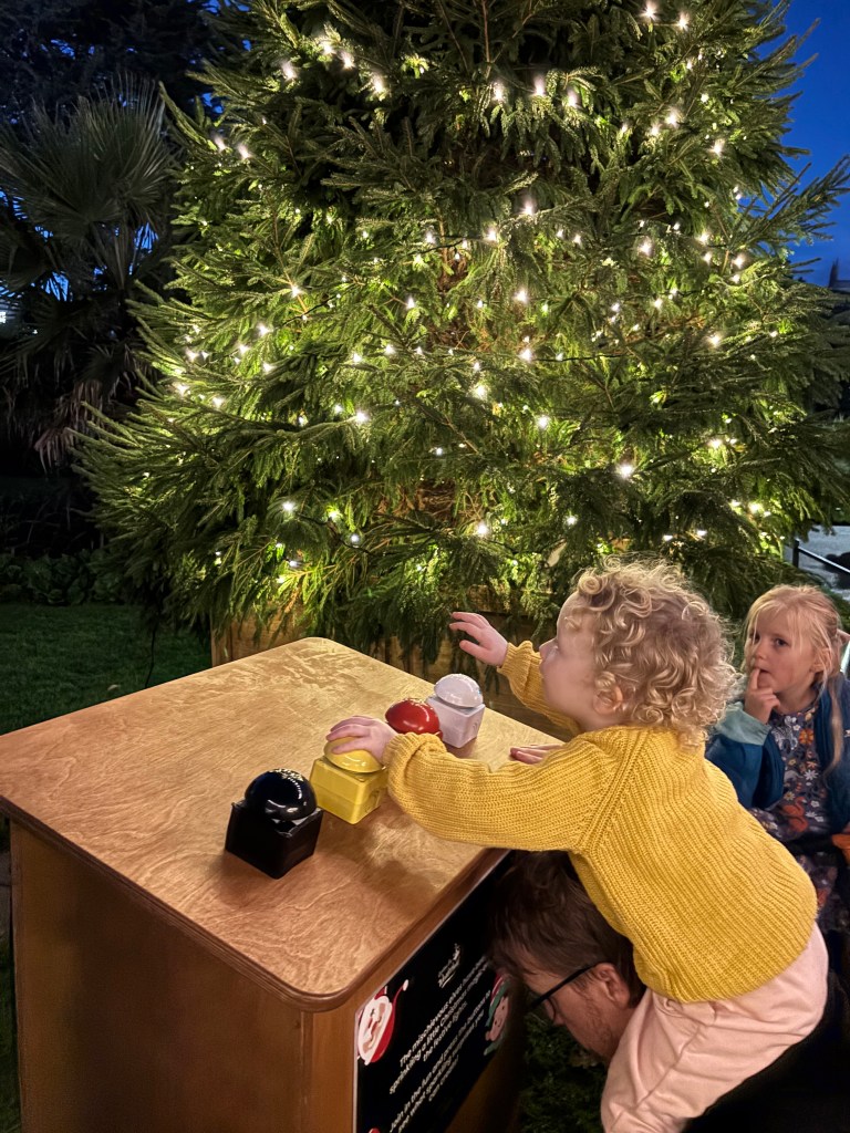 Christmas Tree Wonderland