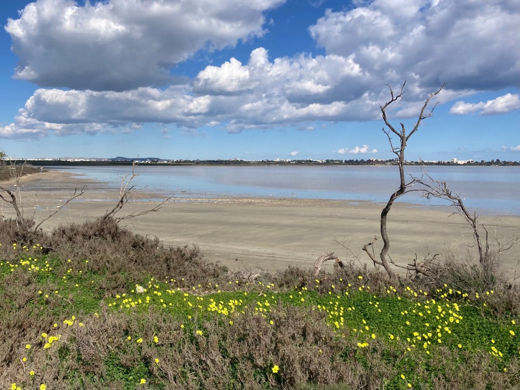 Larnaca Salt Lake