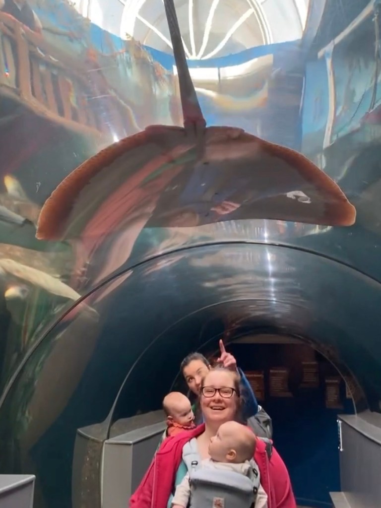 Stingray over the Tunnel