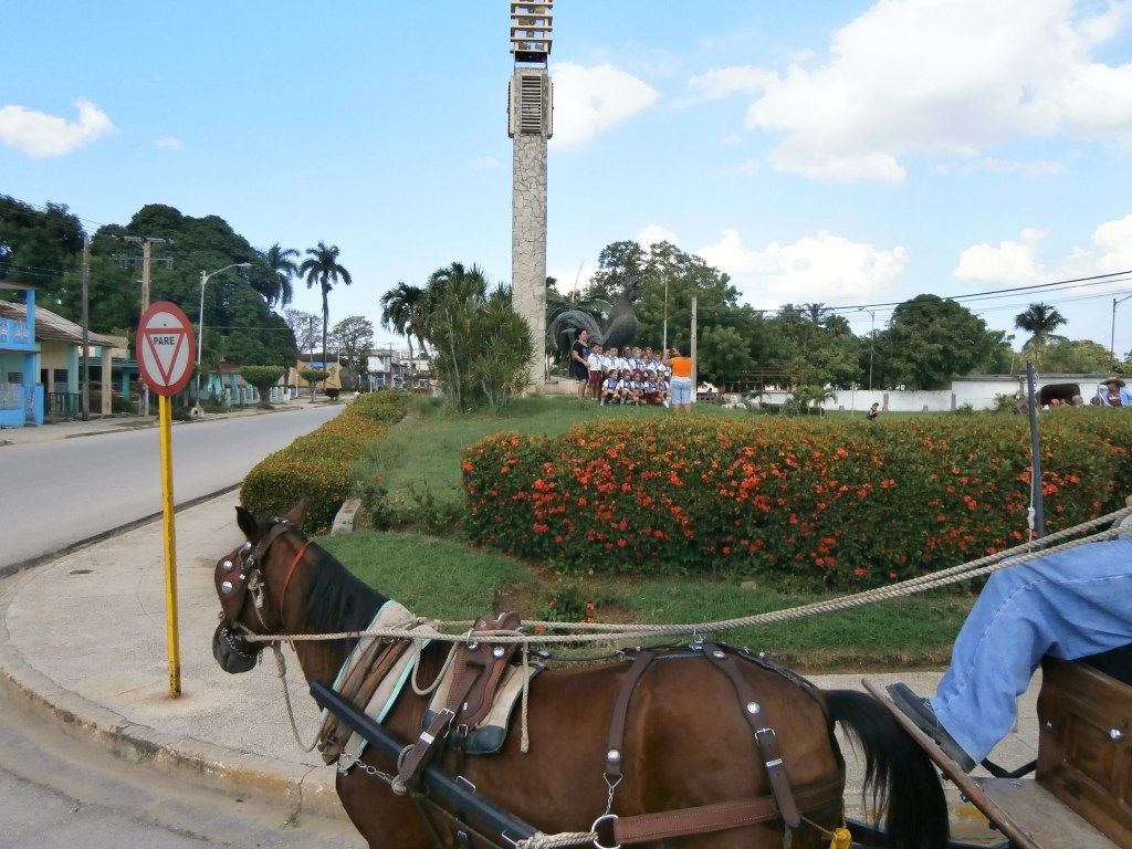 Rooster on Moron Carriage Ride