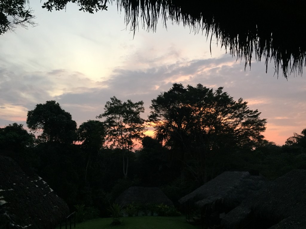 Amazonian Sunset