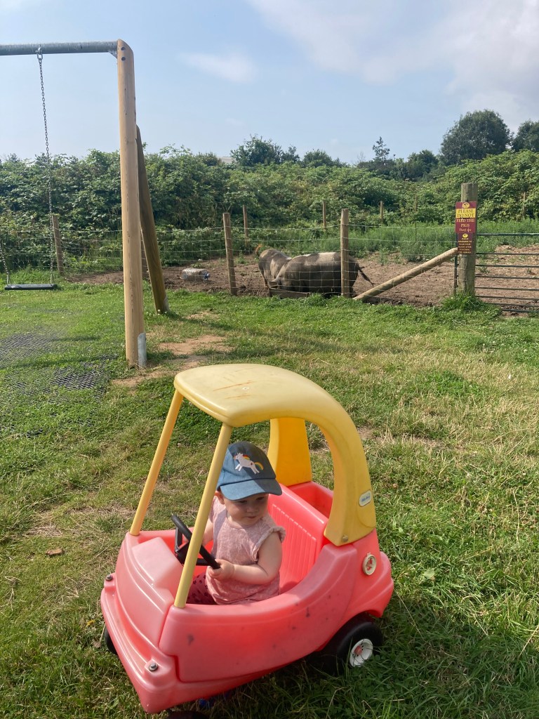 Nick's farm Play area