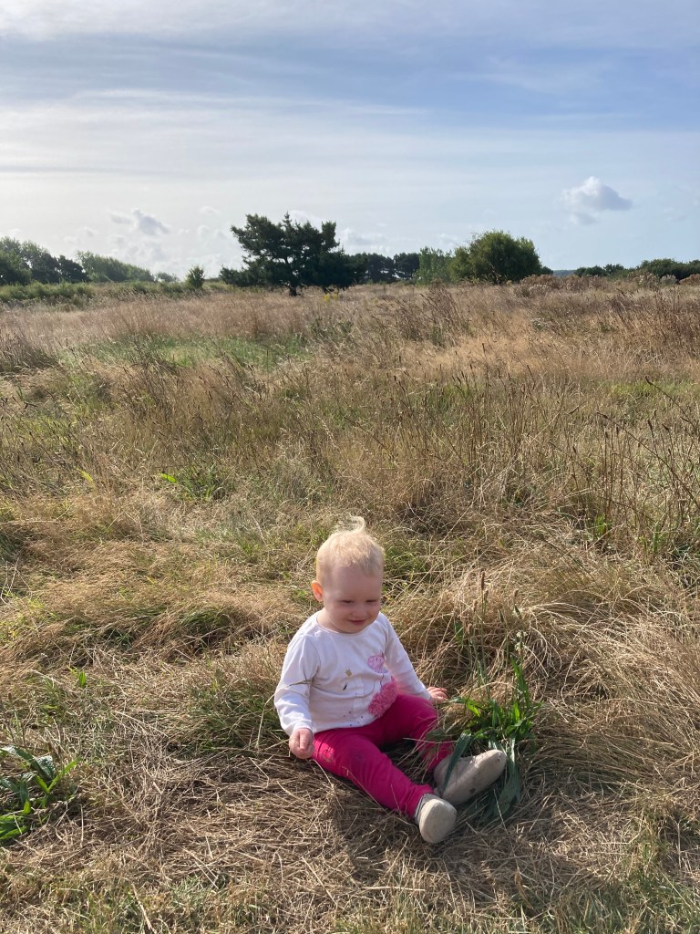 Riversmeet Greenspace