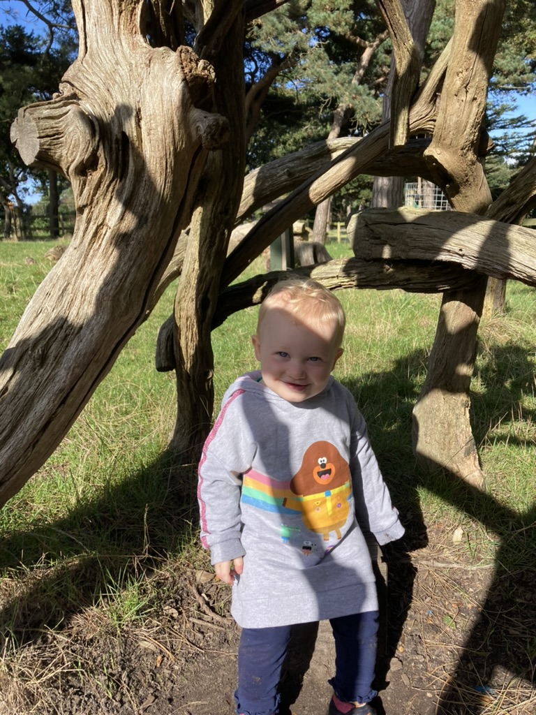 Seafield Fairy Garden Den