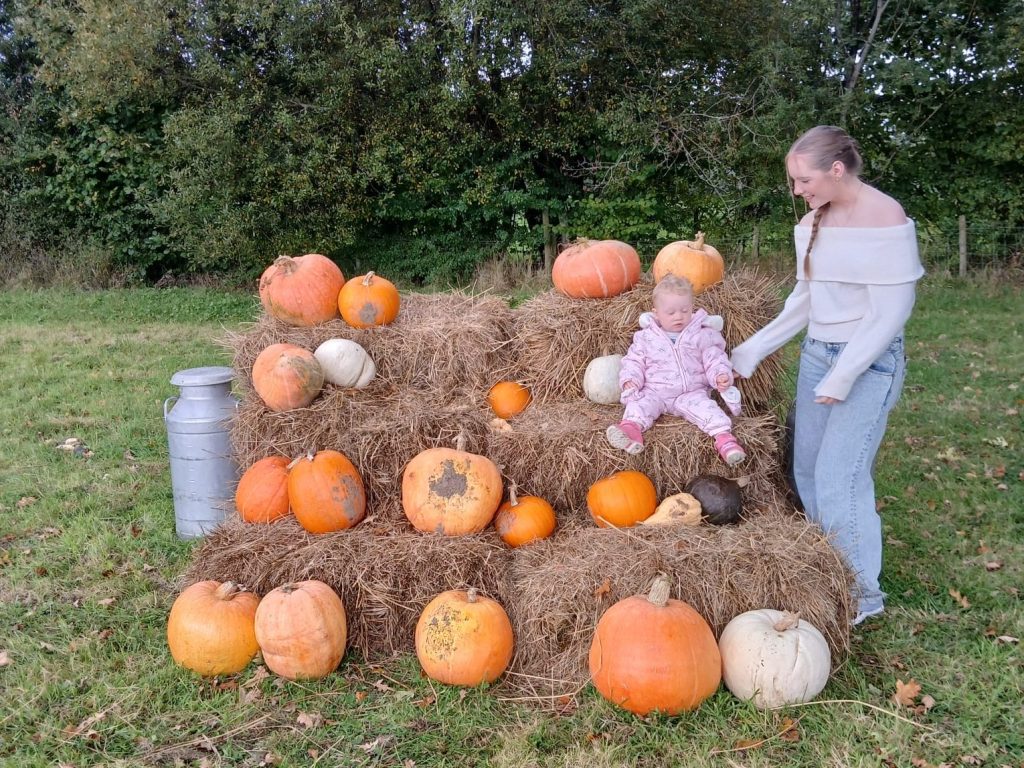 Pumpkin display