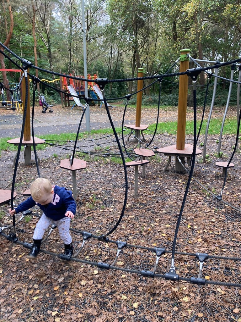 Low Ropes at Halstock Crescent Play Area