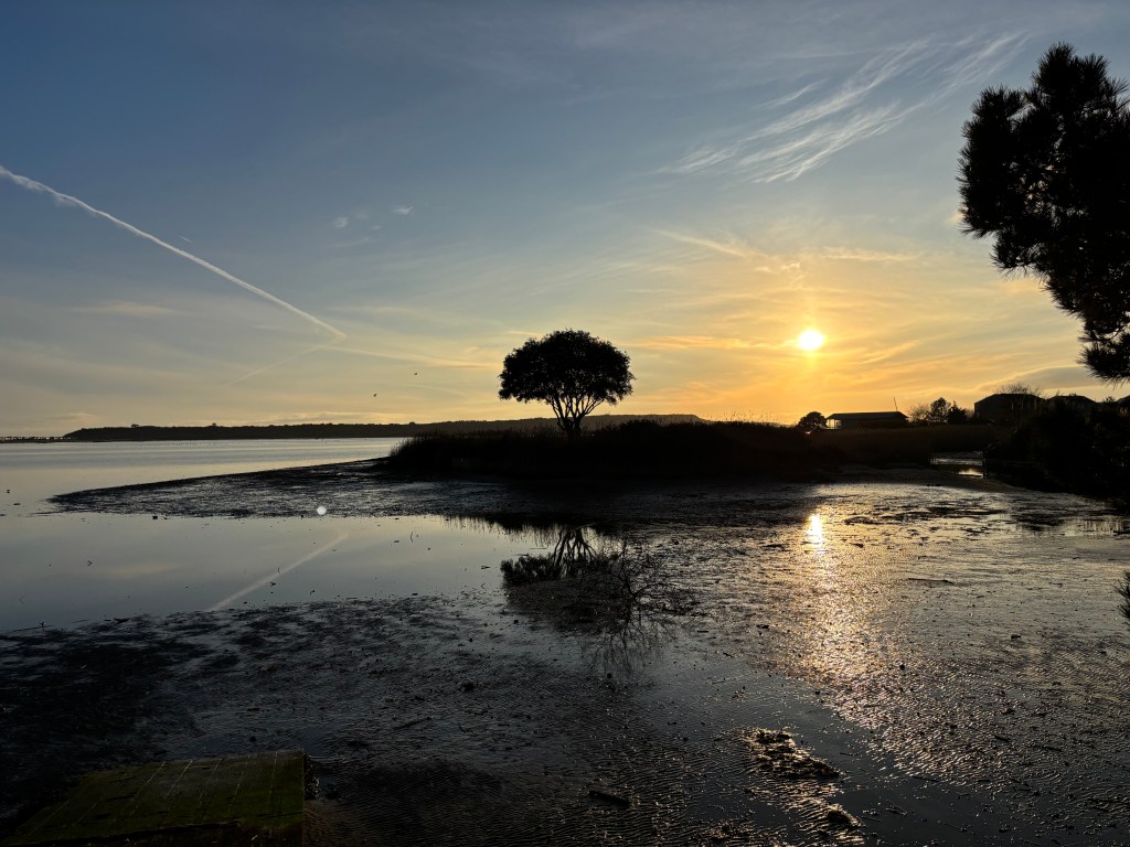 View from The Jetty Christchurch