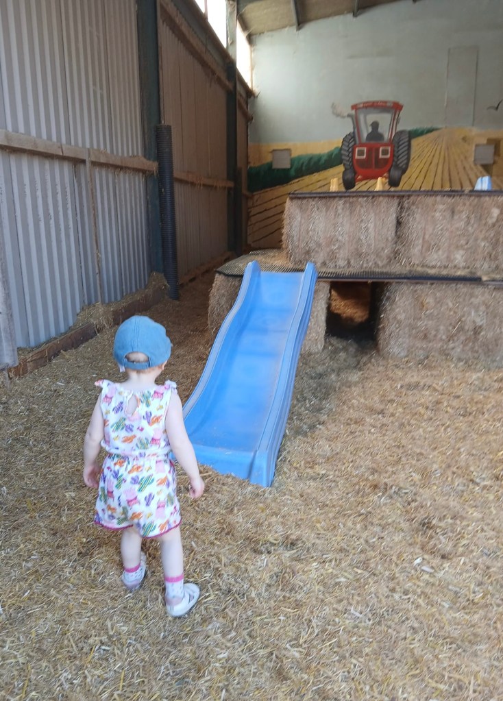 Farmer Palmer's - Straw Mountain