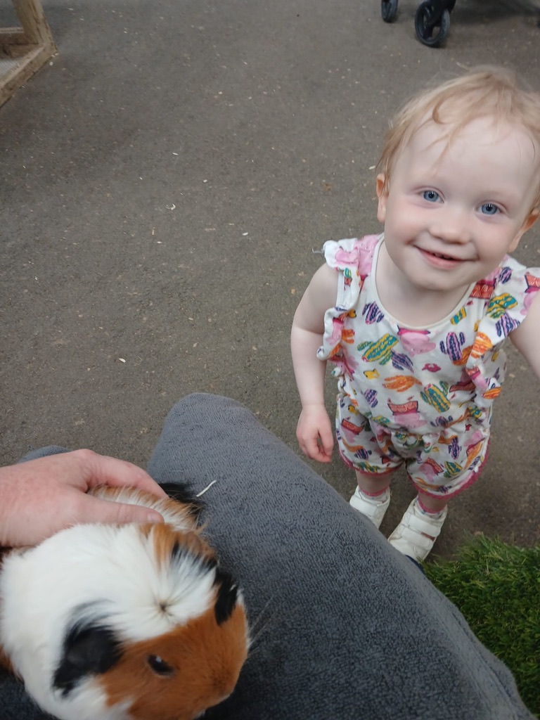 Farmer Palmer's - Guinea Pigs
