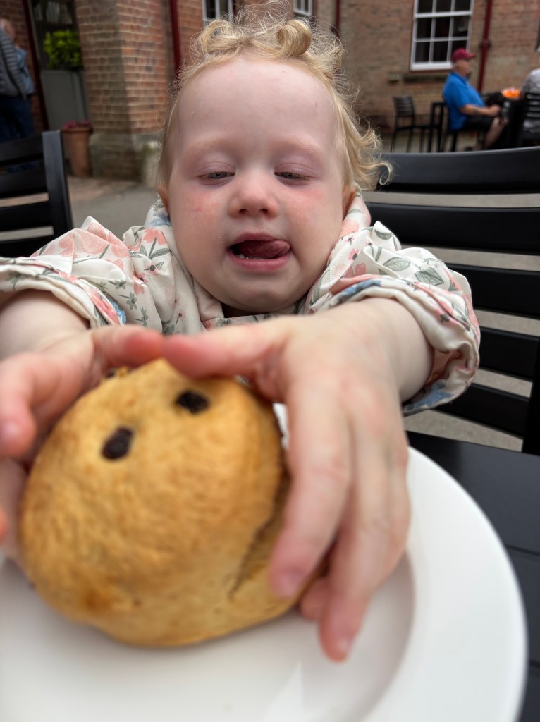 National Trust Scone