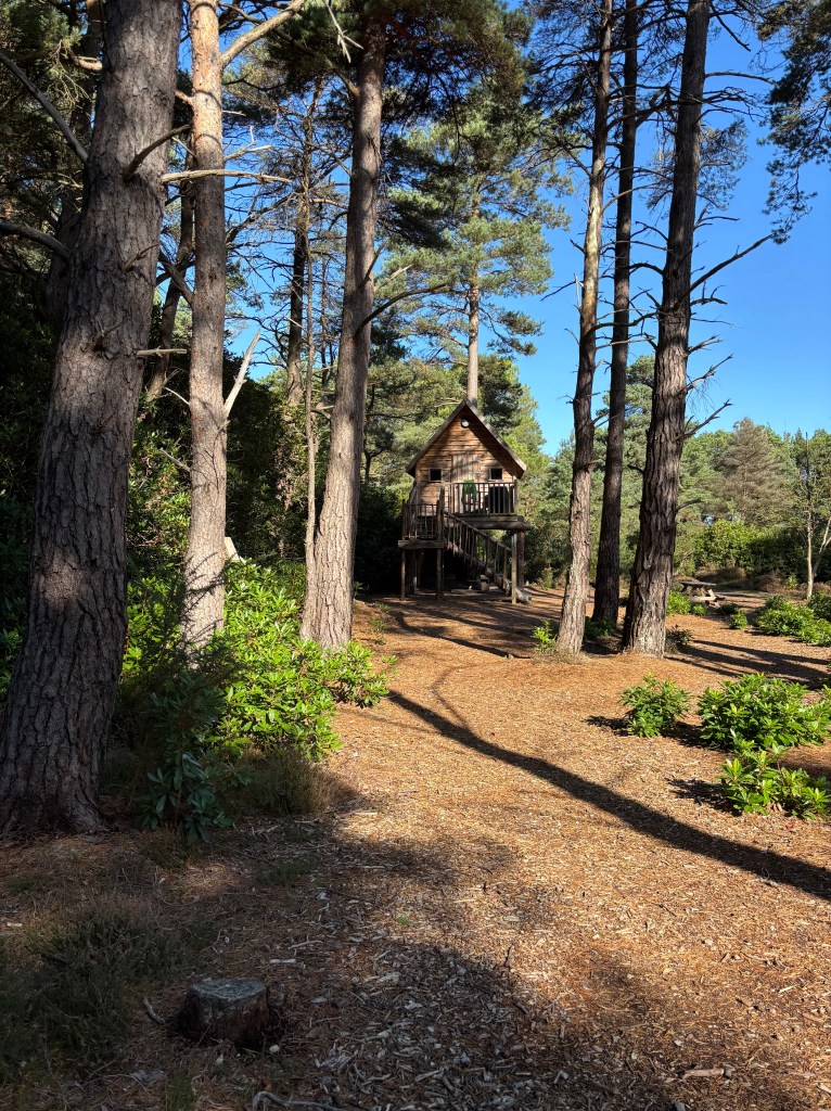 The Blue Pool Treehouse