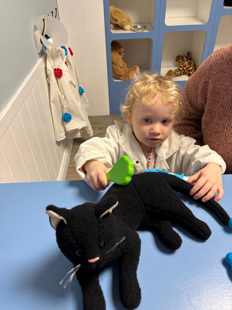 Discovery Village Vet