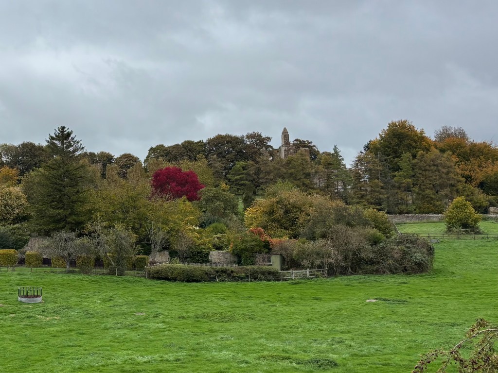 Sherborne Old Castle from a distance
