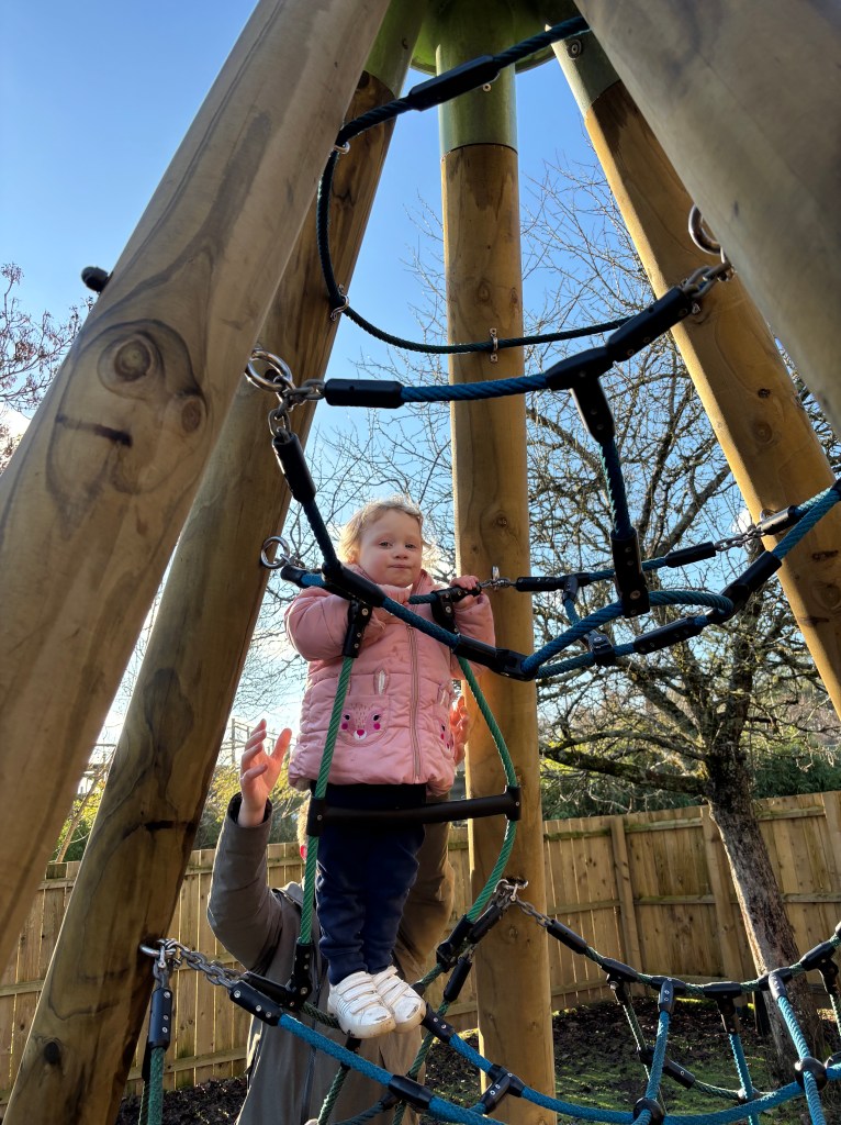 Monkey World Playground