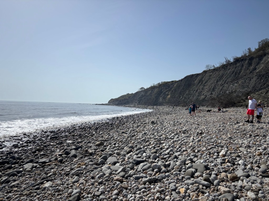 Fossil hunting on Monmouth Beach