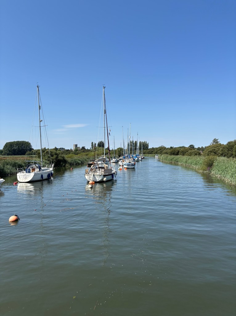 River Frome Boat Trip