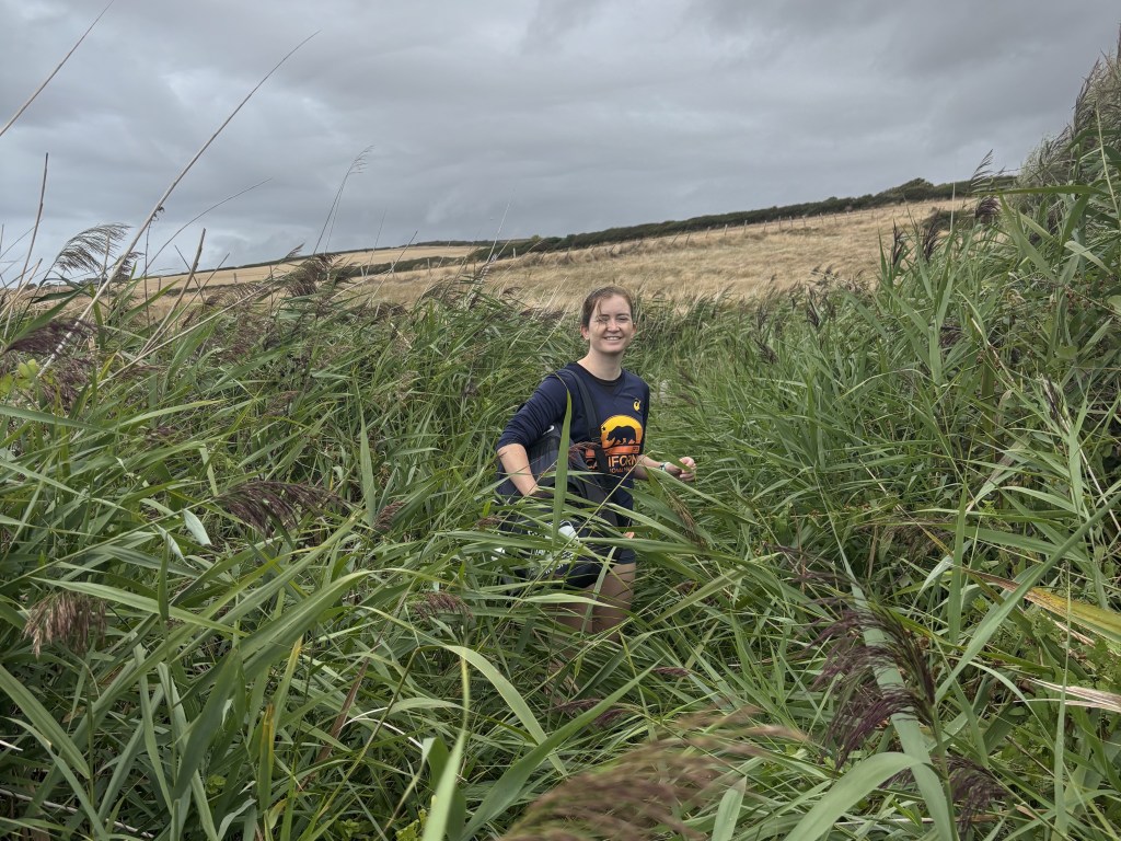 Overgrown Coast Path