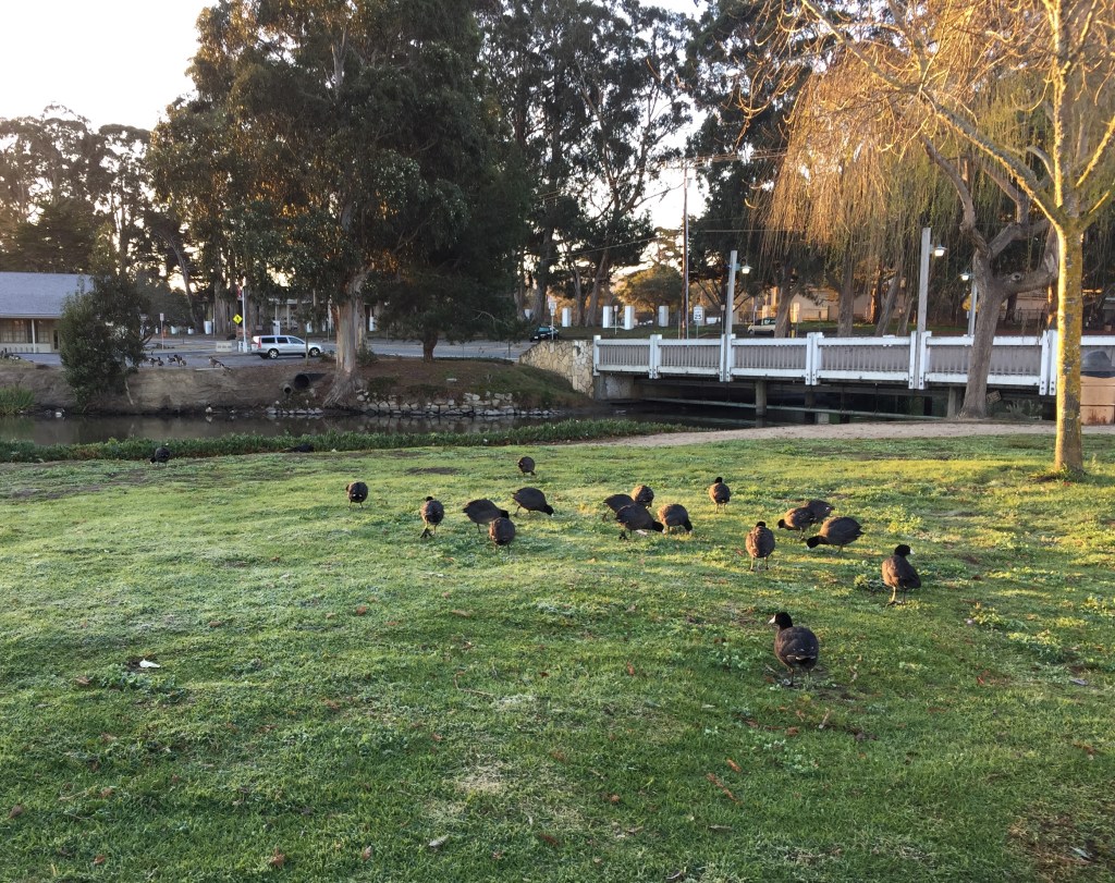 El Estero Park Monterey